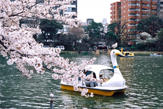 うえの桜まつり　2019