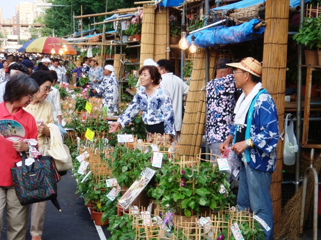 入谷朝顔まつり