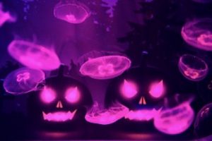 万華鏡トンネル「クラゲとハロウィン」