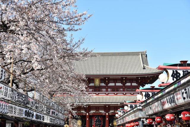 浅草寺の桜