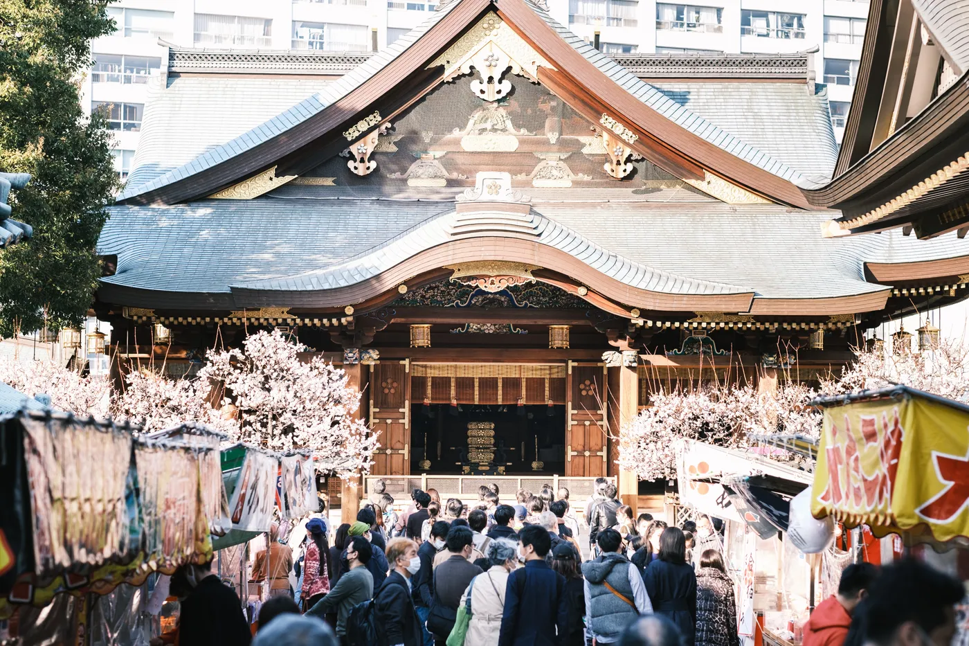 湯島天満宮（湯島天神）