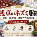 浅草のネズミ駆除はどこに頼む？費用・助成金・自分でできる対策と害獣BUZZを紹介